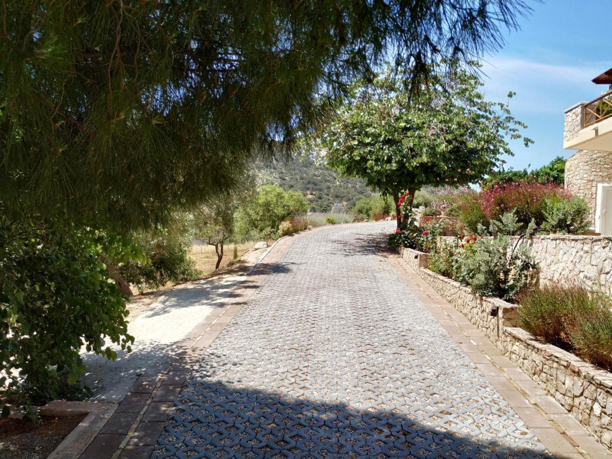 Villa Vena Palaia Fokaia Exterior photo