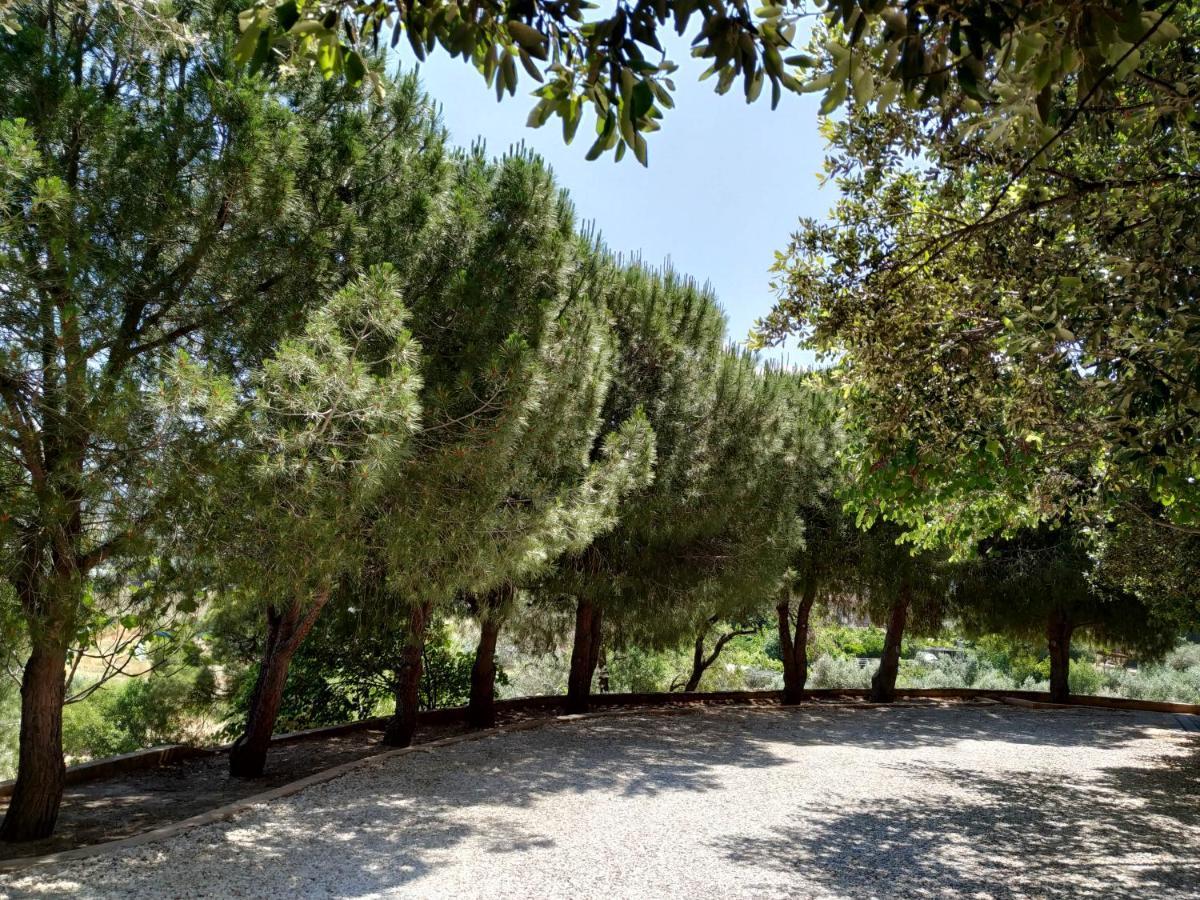 Villa Vena Palaia Fokaia Exterior photo