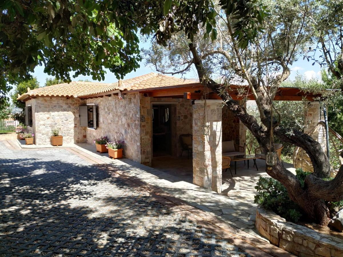 Villa Vena Palaia Fokaia Exterior photo