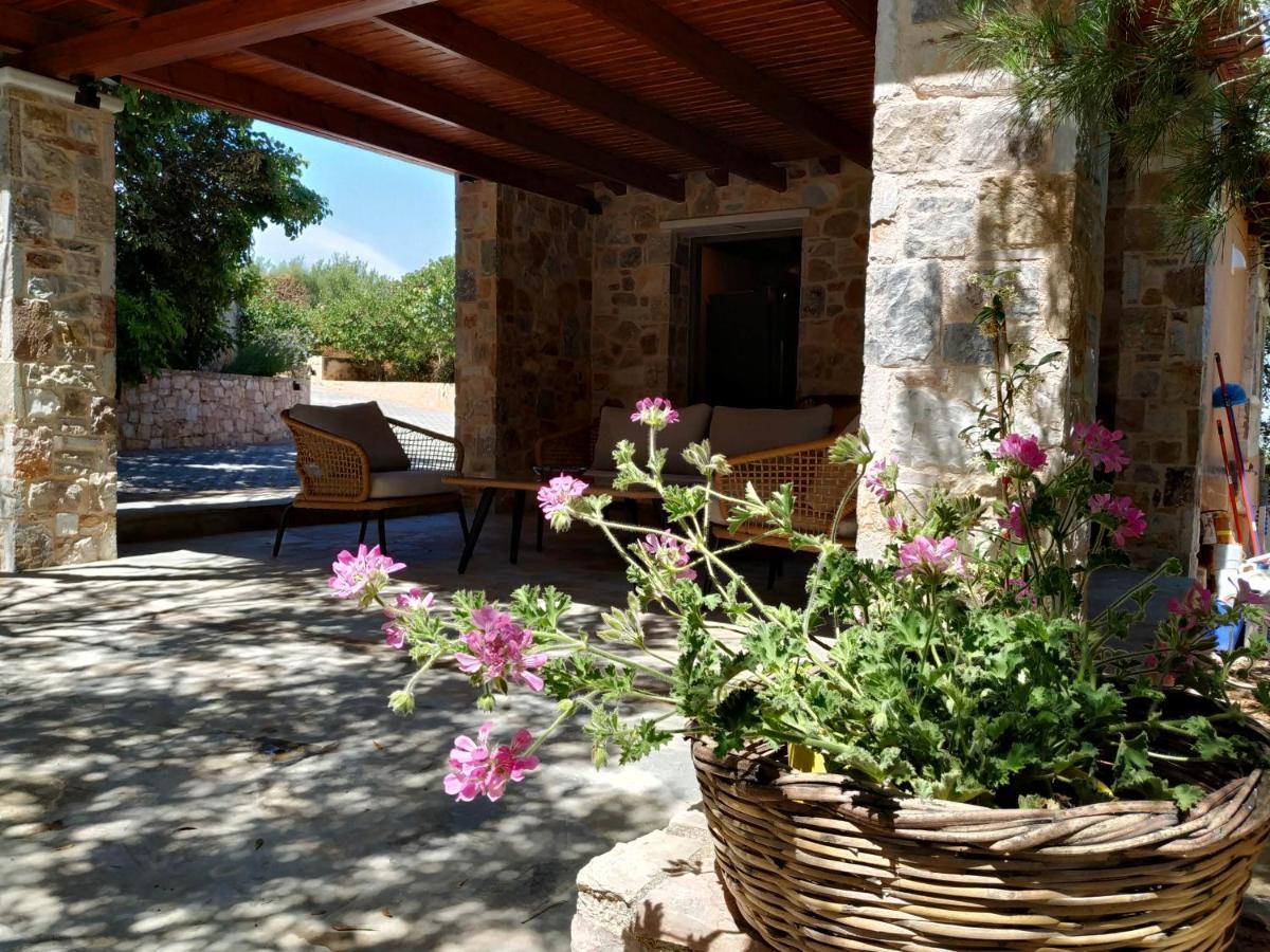 Villa Vena Palaia Fokaia Exterior photo
